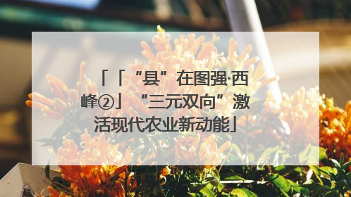 「“县”在图强·西峰②」“三元双向”激活现代农业新动能