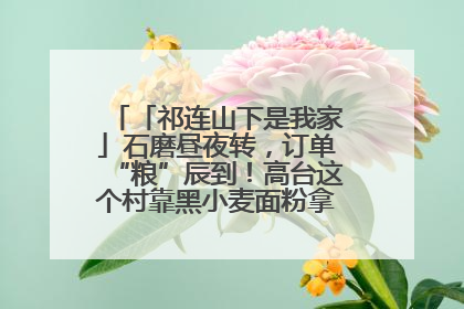 「祁连山下是我家」石磨昼夜转，订单“粮”辰到！高台这个村靠黑小麦面粉拿下成立来最大订单