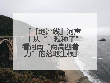 「地评线」河声丨从“一粒种子”看河南“两高四着力”的落地生根