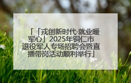 「戎创新时代·就业暖军心」2025年铜仁市退役军人专场招聘会暨直播带岗活动顺利举行