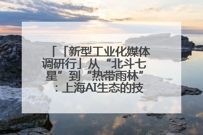 「新型工业化媒体调研行」从“北斗七星”到“热带雨林”：上海AI生态的技术商业共生密码