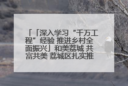 「深入学习“千万工程”经验 推进乡村全面振兴」和美荔城 共富共美 荔城区扎实推进乡村振兴工作