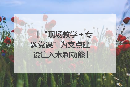 “现场教学＋专题党课”为支点建设注入水利动能