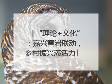 “理论+文化”：嘉兴黄岩联动，乡村振兴添活力