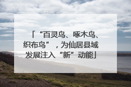 “百灵鸟、啄木鸟、织布鸟”，为仙居县域发展注入“新”动能