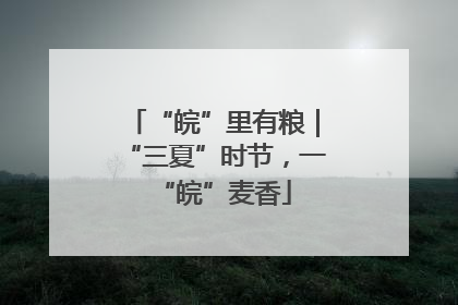 “皖”里有粮｜“三夏”时节，一“皖”麦香
