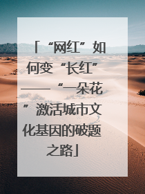 “网红”如何变“长红”——“一朵花”激活城市文化基因的破题之路