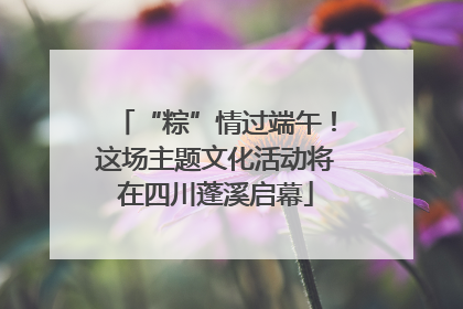 “粽”情过端午！这场主题文化活动将在四川蓬溪启幕