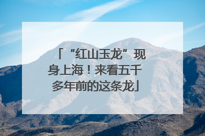 “红山玉龙”现身上海！来看五千多年前的这条龙