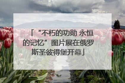 “不朽的功勋 永恒的记忆”图片展在俄罗斯圣彼得堡开幕