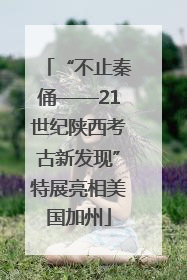 “不止秦俑——21世纪陕西考古新发现”特展亮相美国加州