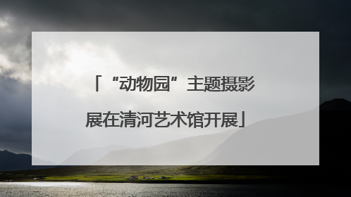 “动物园”主题摄影展在清河艺术馆开展