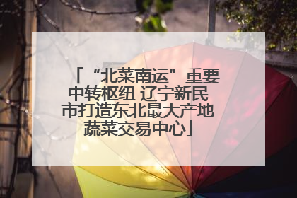 “北菜南运”重要中转枢纽 辽宁新民市打造东北最大产地蔬菜交易中心