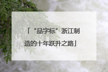 “品字标”浙江制造的十年跃升之路