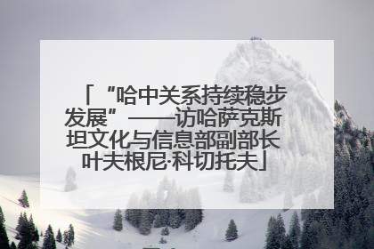 “哈中关系持续稳步发展”——访哈萨克斯坦文化与信息部副部长叶夫根尼·科切托夫