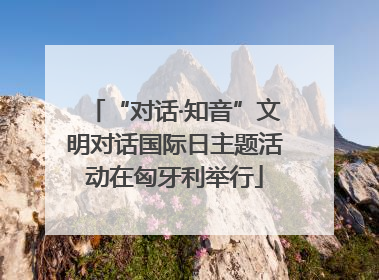 “对话·知音”文明对话国际日主题活动在匈牙利举行