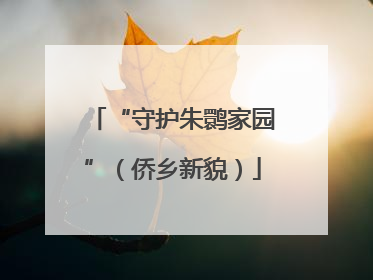 “守护朱鹮家园”（侨乡新貌）