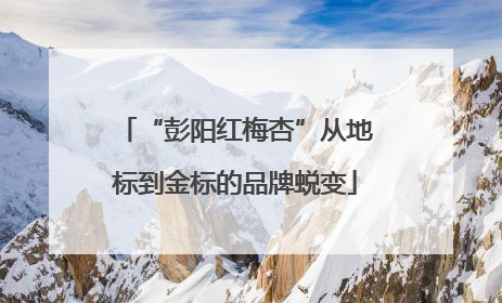 “彭阳红梅杏”从地标到金标的品牌蜕变