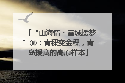 “山海情・雪域援梦”⑧：青稞变金稞，青岛援藏的高原样本