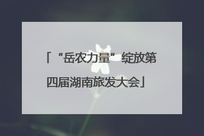 “岳农力量”绽放第四届湖南旅发大会