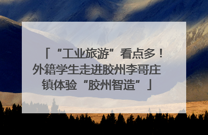 “工业旅游”看点多！外籍学生走进胶州李哥庄镇体验“胶州智造”
