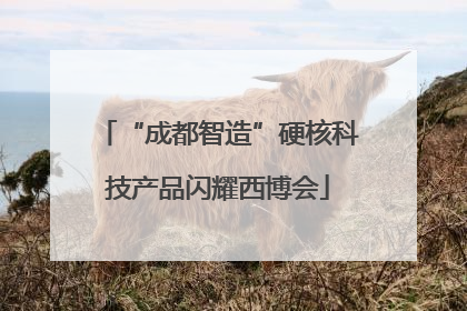 “成都智造”硬核科技产品闪耀西博会