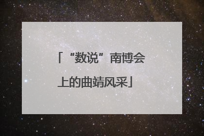 “数说”南博会上的曲靖风采
