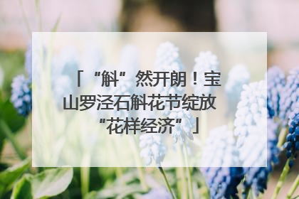 “斛”然开朗！宝山罗泾石斛花节绽放“花样经济”