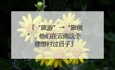 “旅游”→“旅创”，他们在云南这个理想村过日子
