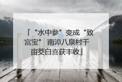 “水中参”变成“致富宝” 南漳八泉村千亩茭白喜获丰收