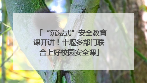 “沉浸式”安全教育课开讲！十堰多部门联合上好校园安全课