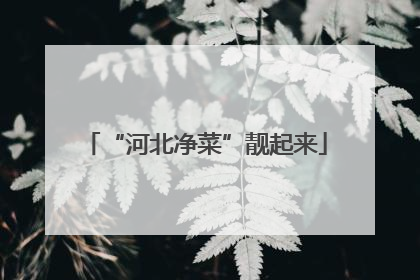 “河北净菜”靓起来