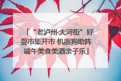 “老泸州·大河街”好耍市集开市 机器狗助阵端午美食美酒亲子乐