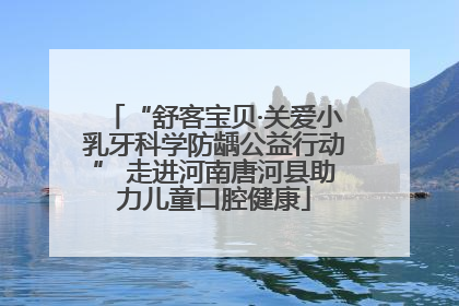 “舒客宝贝·关爱小乳牙科学防龋公益行动” 走进河南唐河县助力儿童口腔健康