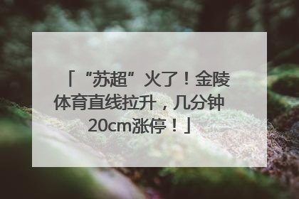 “苏超”火了！金陵体育直线拉升，几分钟20cm涨停！