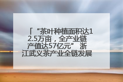 “茶叶种植面积达12.5万亩，全产业链产值达57亿元” 浙江武义茶产业全链发展“加速度”