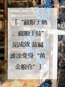 “藏粮于地、藏粮于技”见成效 盐碱滩涂变身“黄金粮仓”