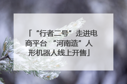 “行者二号”走进电商平台 “河南造”人形机器人线上开售