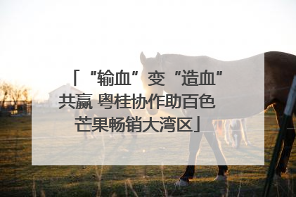 “输血”变“造血”共赢 粤桂协作助百色芒果畅销大湾区