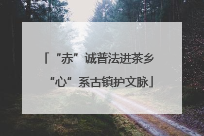 “赤”诚普法进茶乡 “心”系古镇护文脉