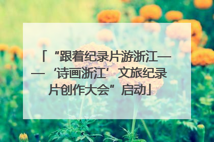 “跟着纪录片游浙江——‘诗画浙江’文旅纪录片创作大会”启动
