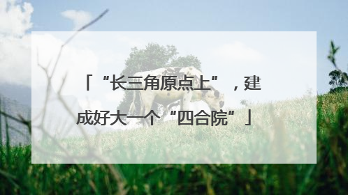 “长三角原点上”，建成好大一个“四合院”