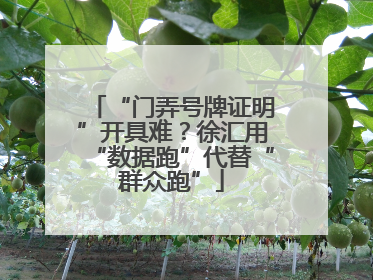 “门弄号牌证明”开具难？徐汇用“数据跑”代替“群众跑”