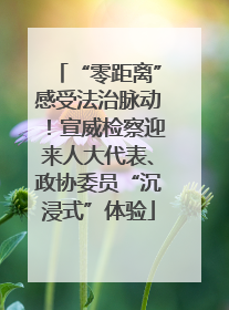 “零距离”感受法治脉动！宣威检察迎来人大代表、政协委员“沉浸式”体验
