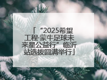 “2025希望工程·蒙牛足球未来星公益行”临沂站选拔圆满举行