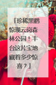 珍稀黑鹳惊现云岗森林公园！丰台这片宝地藏着多少惊喜？