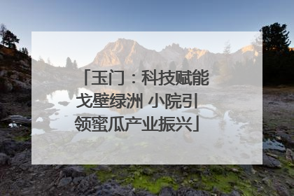 玉门：科技赋能戈壁绿洲 小院引领蜜瓜产业振兴