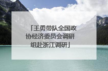 王勇带队全国政协经济委员会调研组赴浙江调研