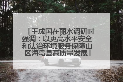 王成国在丽水调研时强调：以更高水平安全和法治环境服务保障山区海岛县高质量发展