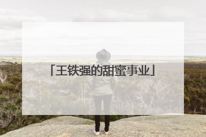 王铁强的甜蜜事业